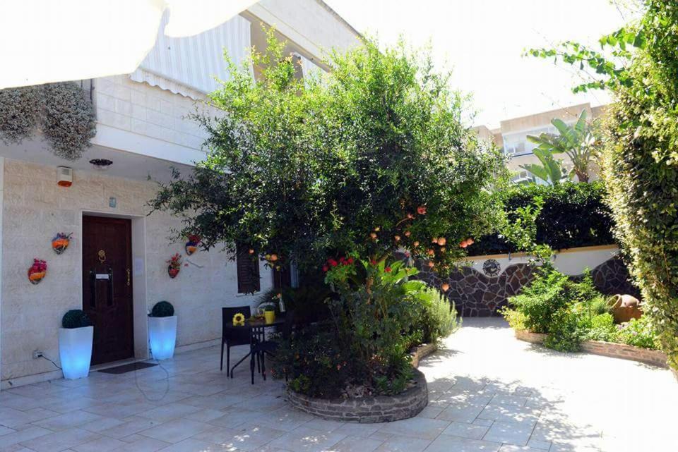 Profumo Di Mare B&B Gallipoli Exterior foto